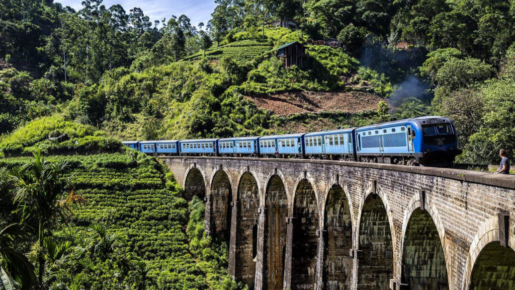 Srilanka Tour
