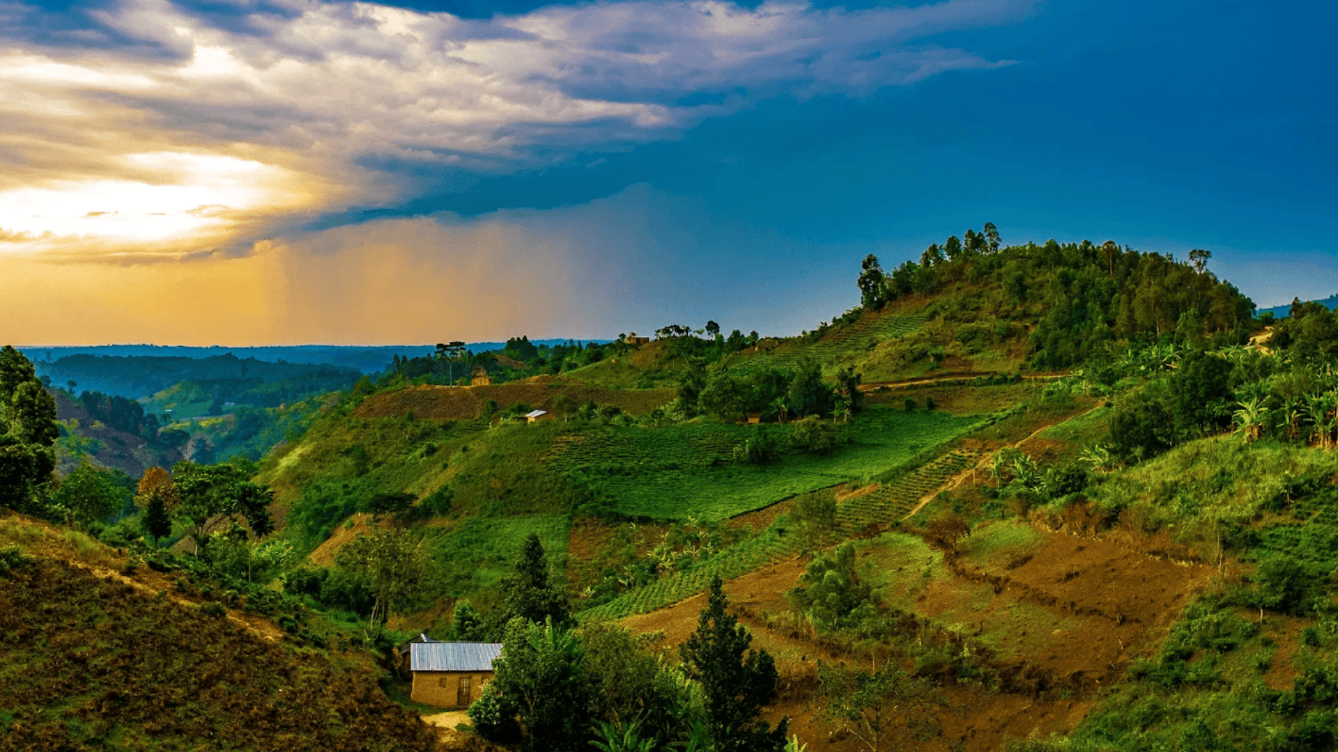 Rwanda